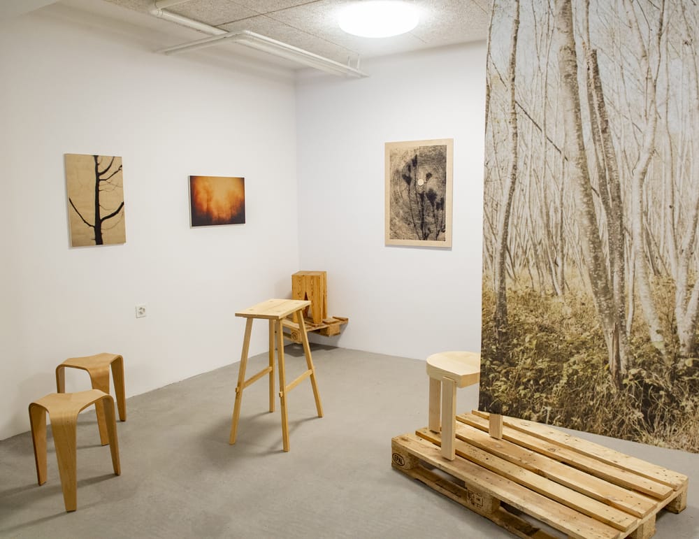 Ausstellungen Kultur