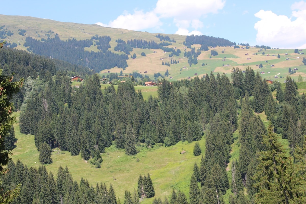 Geschichte: Val Cuschina