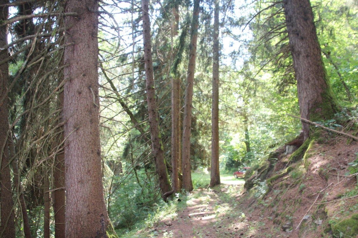 Geschichte: Chistatscha