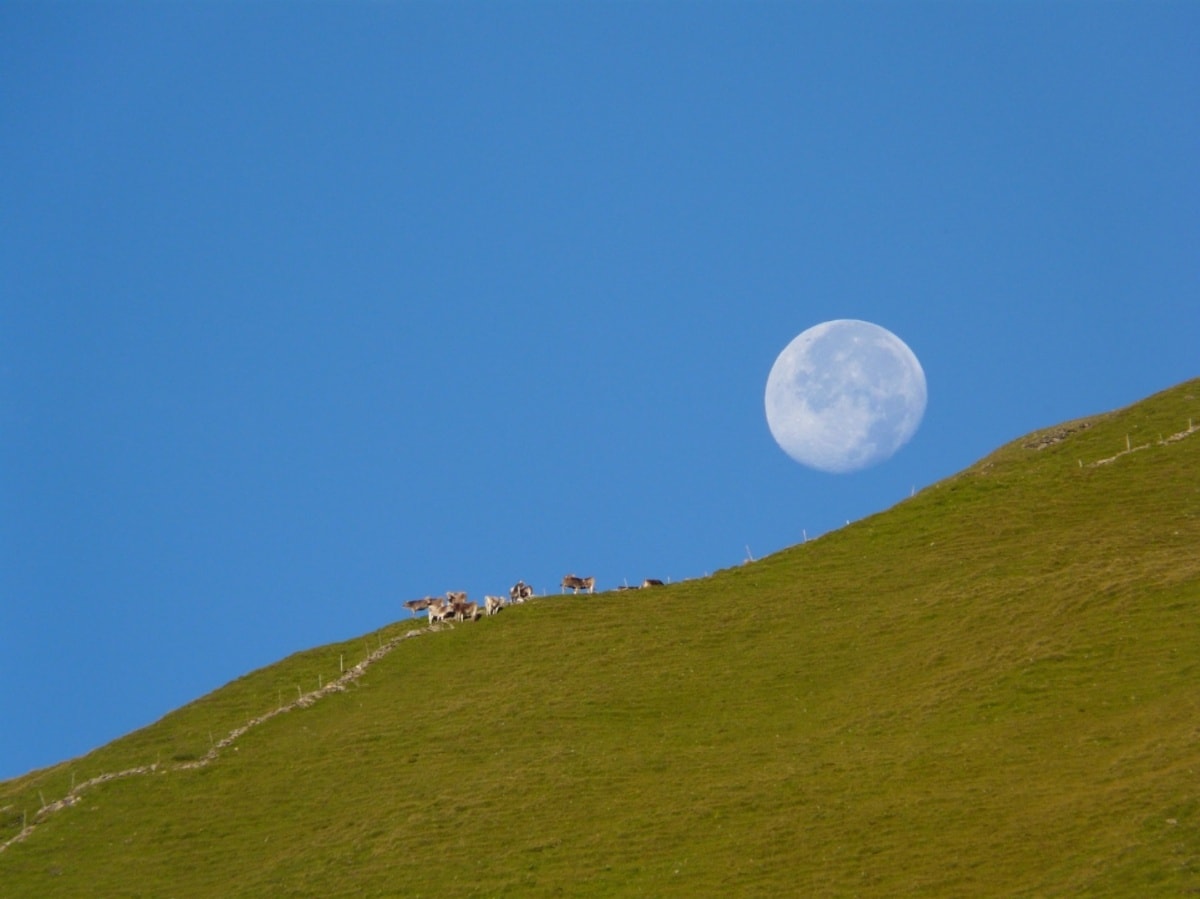 Geschichte: Güner Lückli - einsamer Passübergang