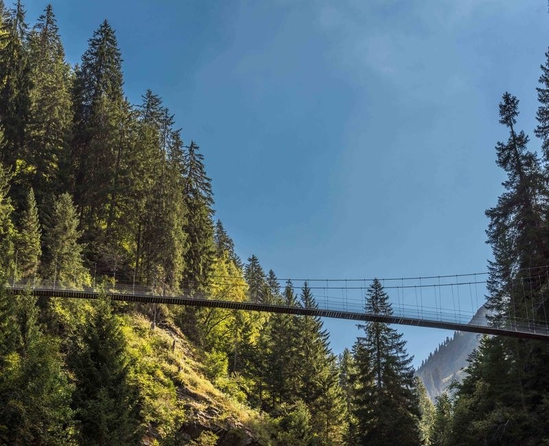 Geschichte: Wanderung Vrin - Uors über die Hängebrücke Val da Silgin