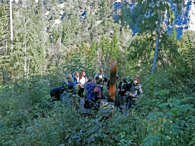 Geschichte: faszinaturWeg Rheinschlucht