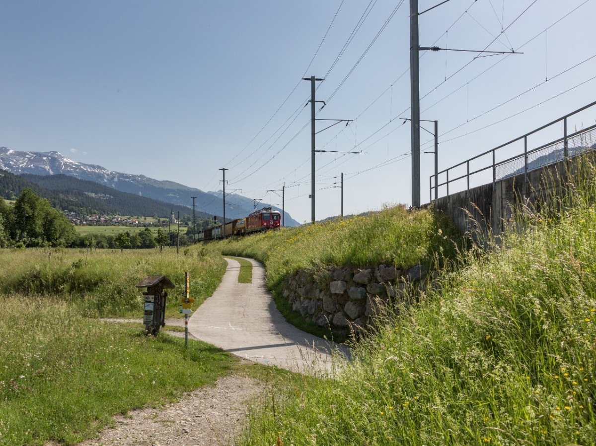 Geschichte: Rheinschlucht Wanderung: Auenweg (656.2)