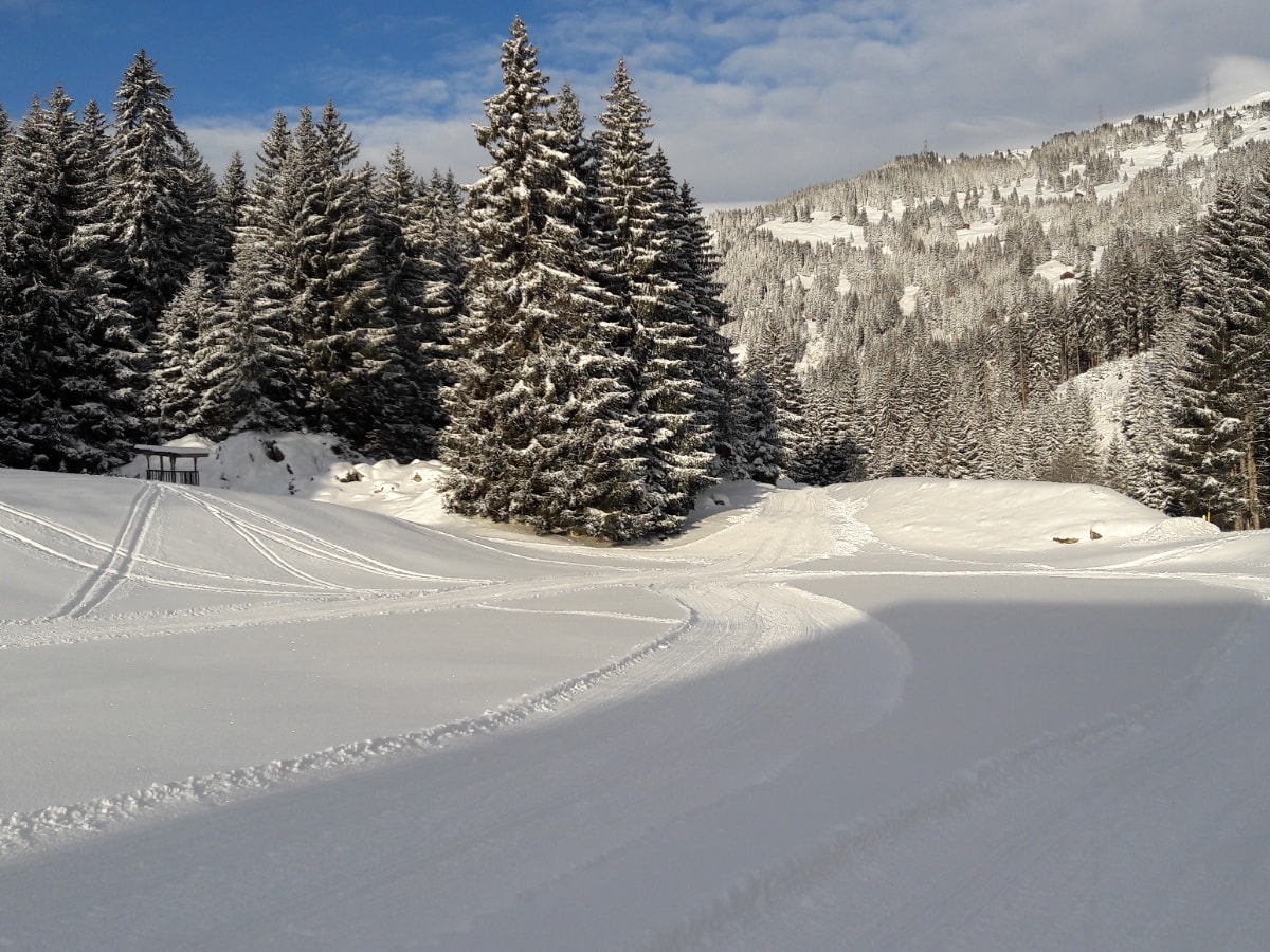 Geschichte: Langlaufloipe Siat, Ilanz/Glion