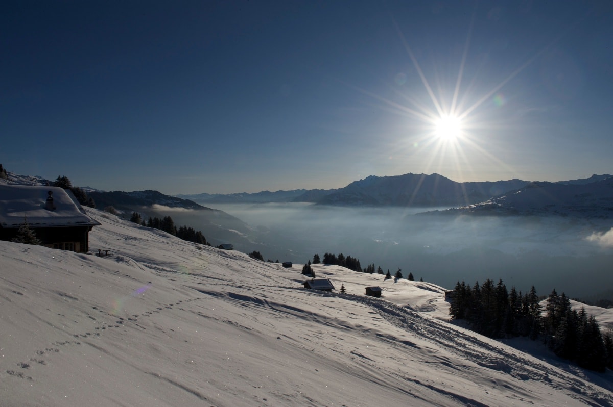 Geschichte: Schlitteln Alp Dado - Waltensburg