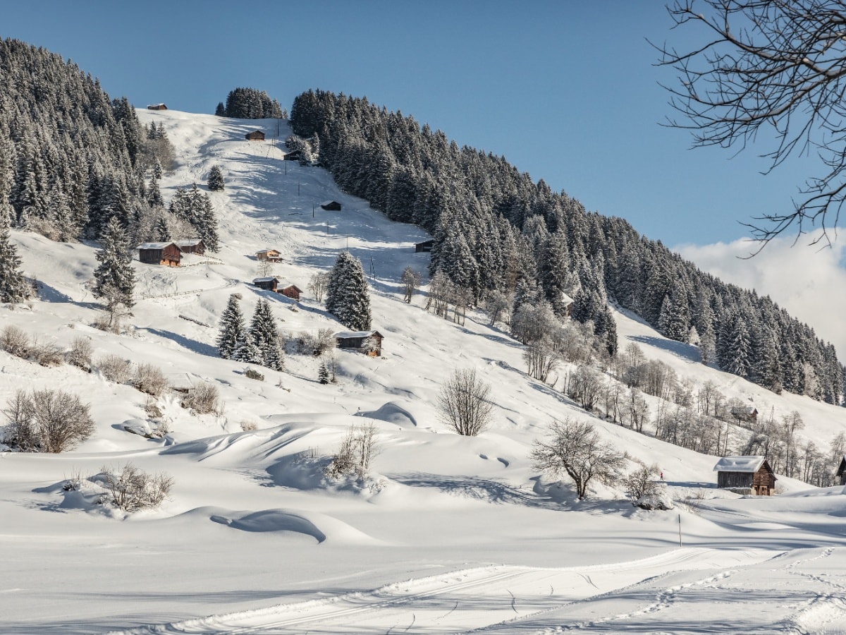 Geschichte: Winterwandern: Brigelser Runde ab Waltensburg