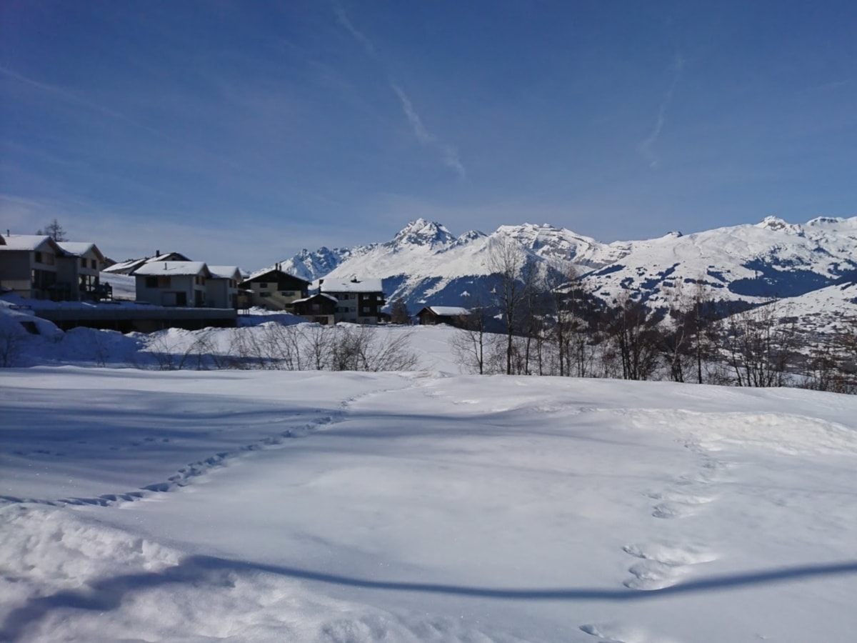 Geschichte: Surcuolm - Cuolm Sura - Ruschneras - Surcuolm