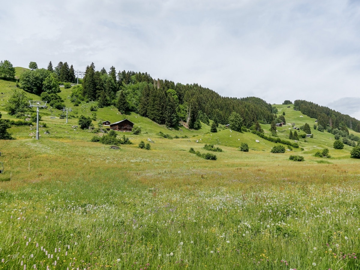 Geschichte: Cuolms da Breil (Kinderwagentauglich)