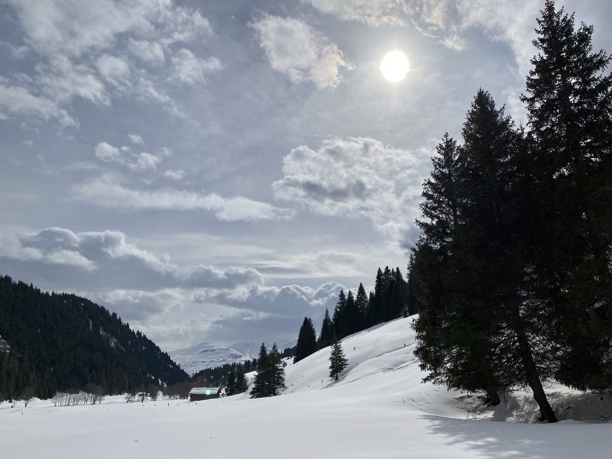 Geschichte: Winterwandern: Andiast - Ladral