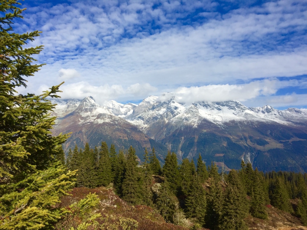 Geschichte: 62 Walserweg Gottardo, Etappe 14: Sumvitg, Val - Friggahüs