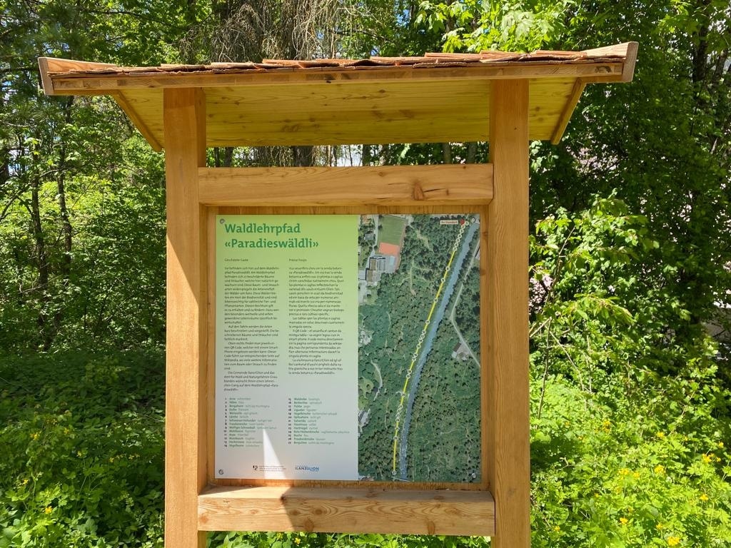 Geschichte: Waldlehrpfad "Paradieswäldli" in Ilanz