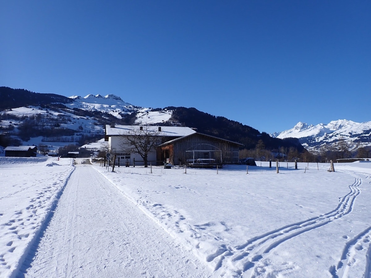 Geschichte: 246 Auen-Rundweg Ilanz-Castrisch