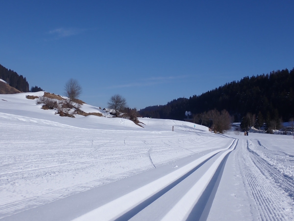 Geschichte: Langlaufloipe Migliè / Plaun sut, Brigels