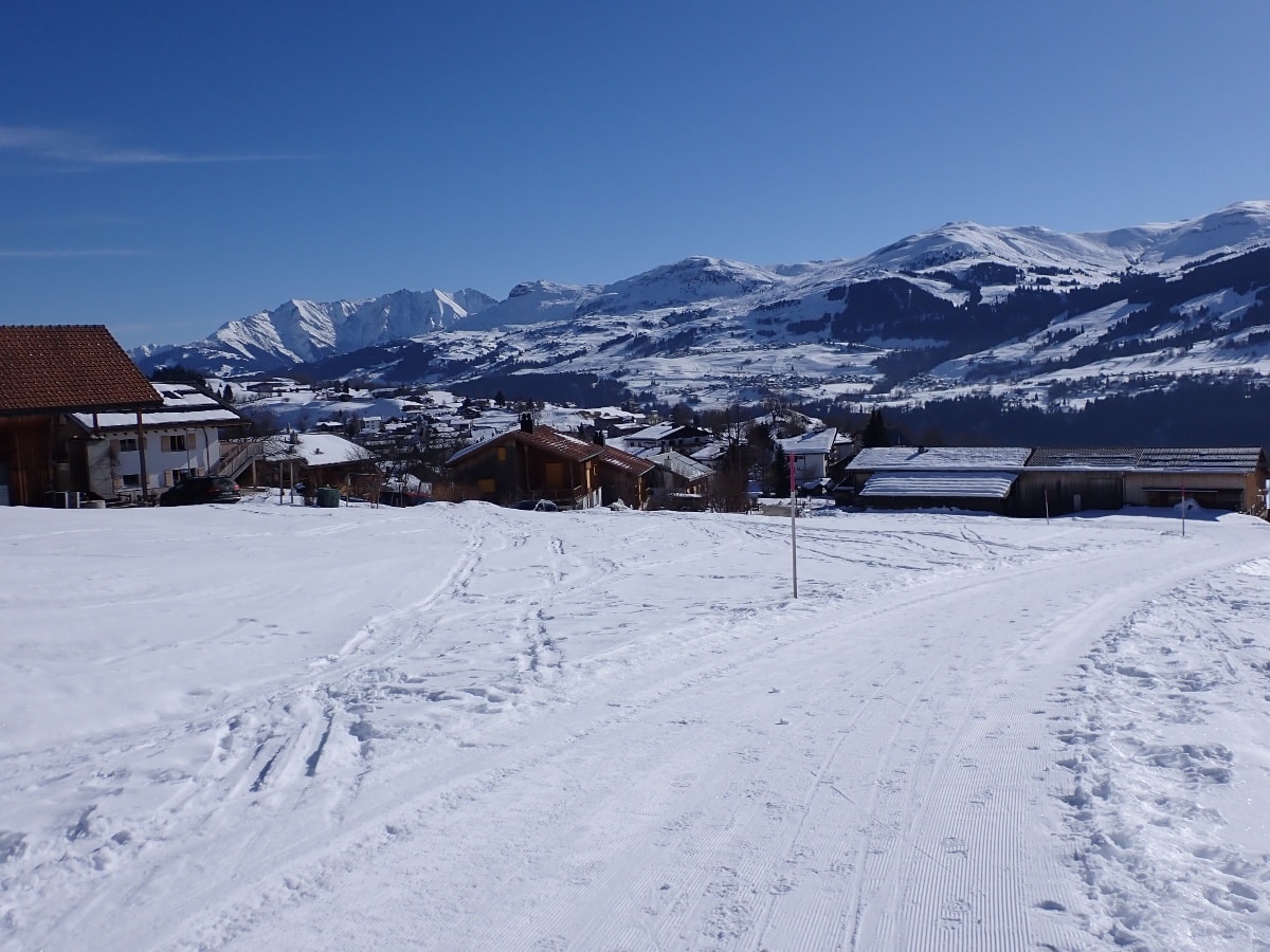 Geschichte: Winterwandern: Brigels - Artugl