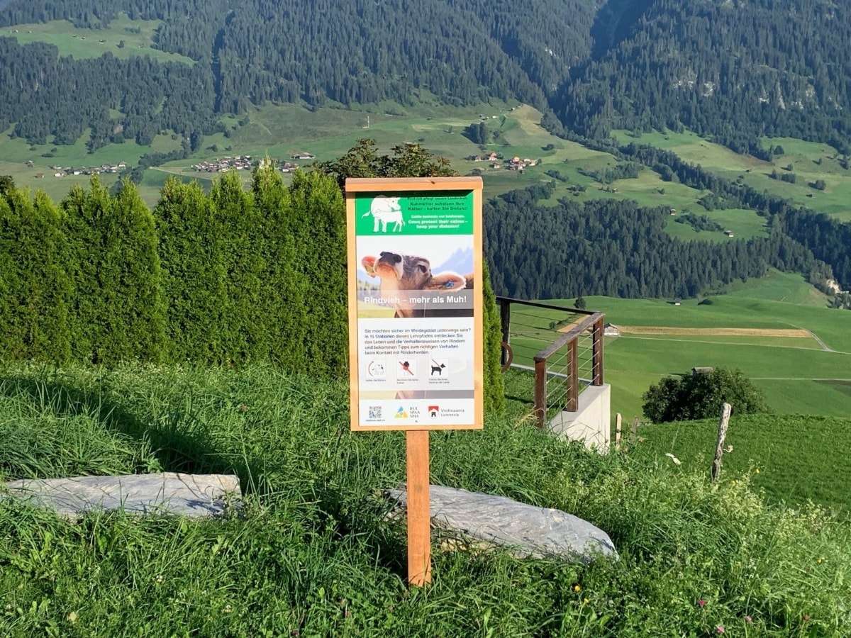 Geschichte: Lehrpfad "Rindvieh - mehr als Muh!", Vella