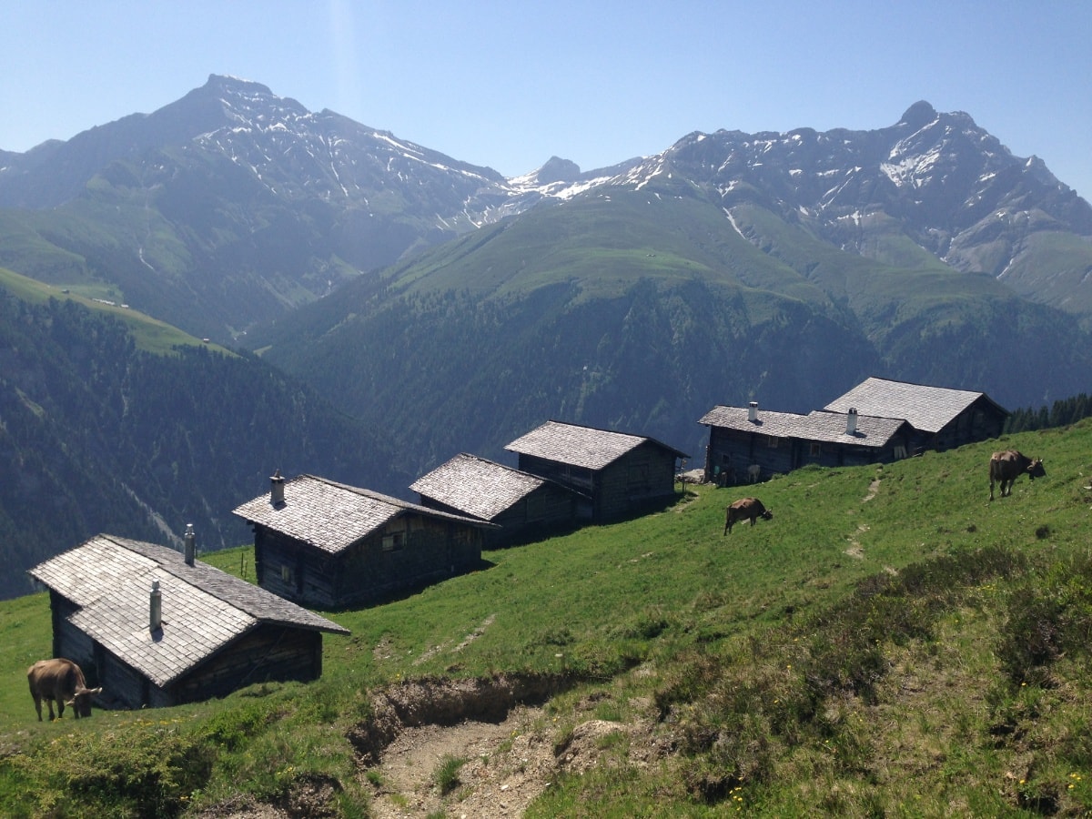 Geschichte: Zalöner Alp-Runde