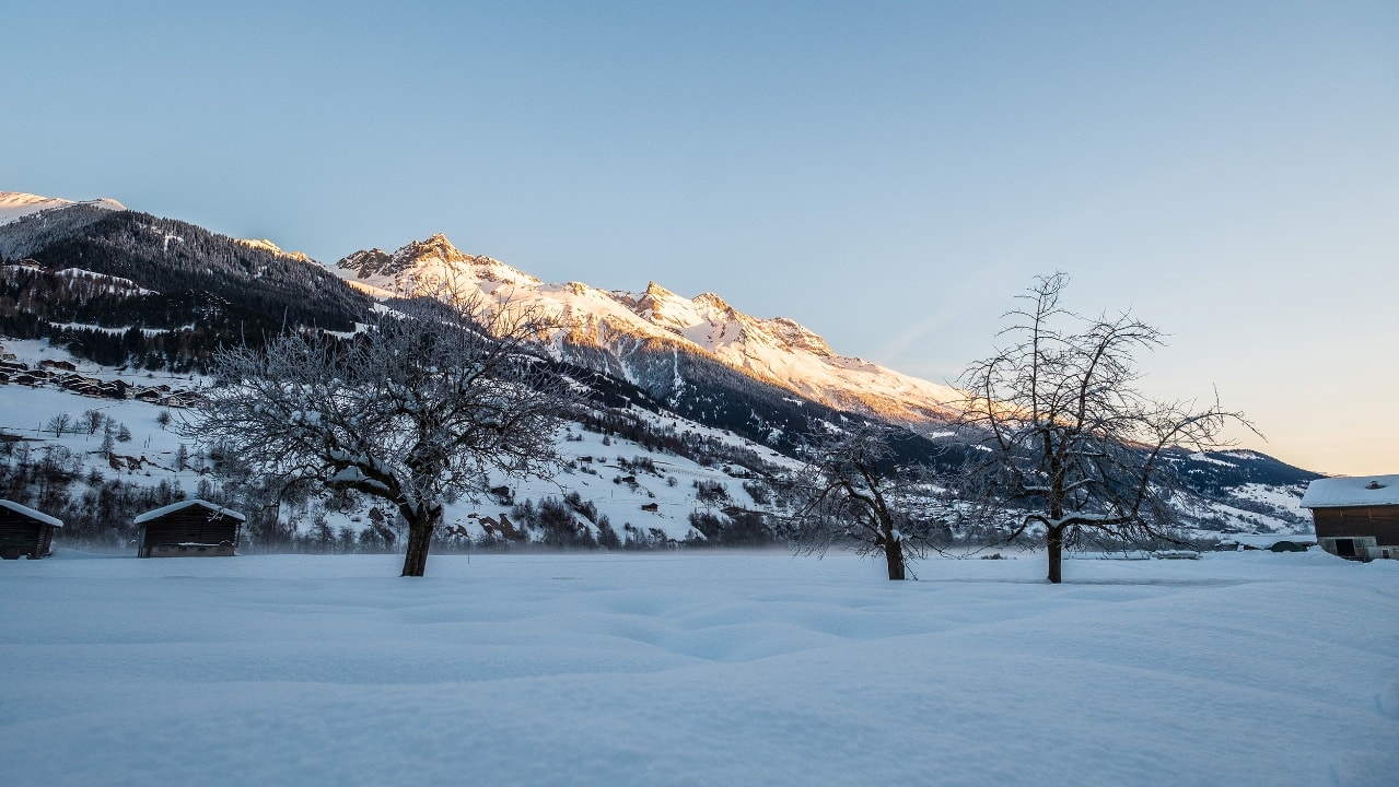 Geschichte: Winterwandern: Surrein - Resgia (Cumpadials)