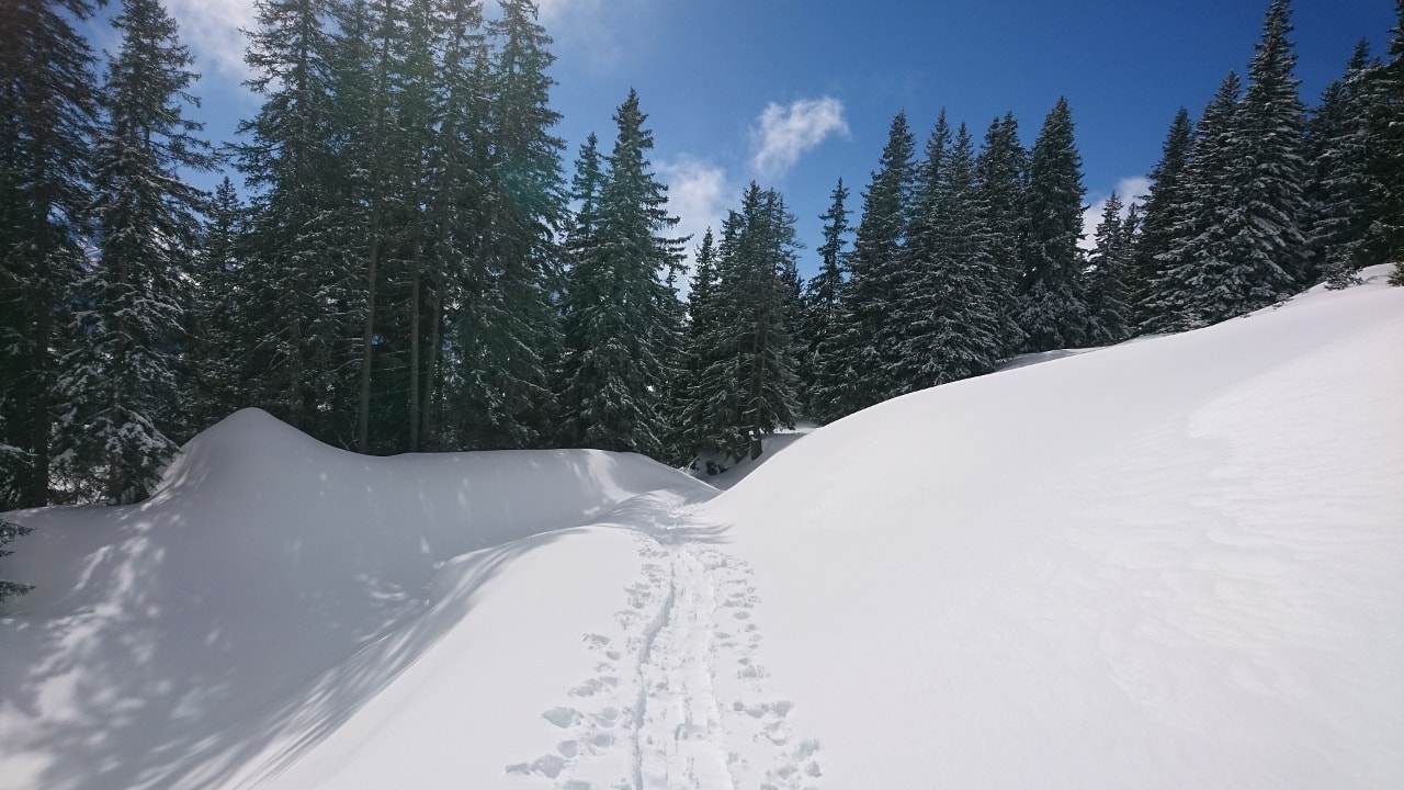 Geschichte: Signalisierter Schneeschuh-Trail: Ladir