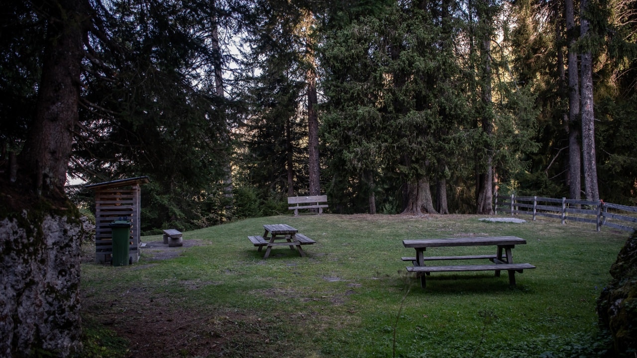 Geschichte: Plaun da Plaids (Kinderwagentauglich)