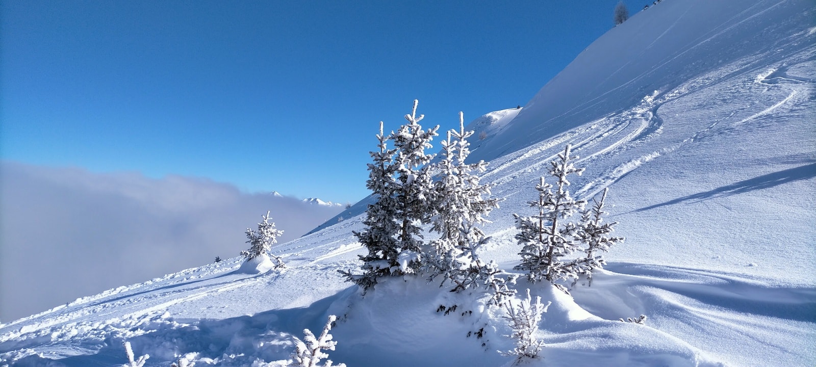 Geschichte: Cauma ab Riein