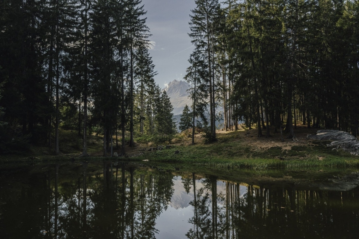 Geschichte: Gemütliche und reizvolle Rundwanderung über den Dachlisee