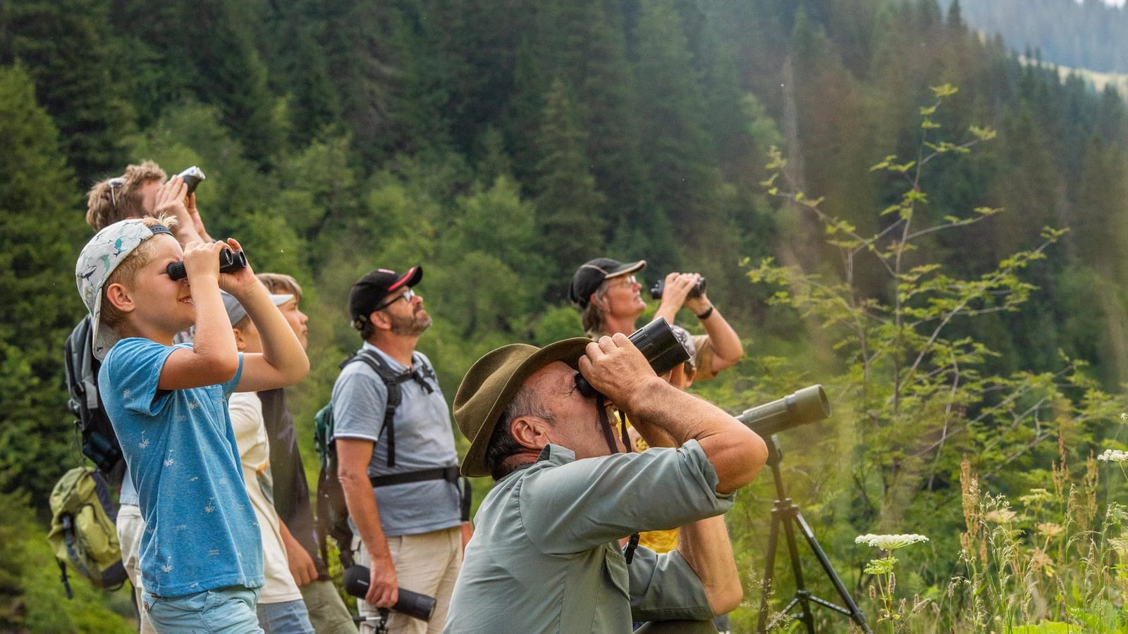 Menschen mit Fernglas im Wald