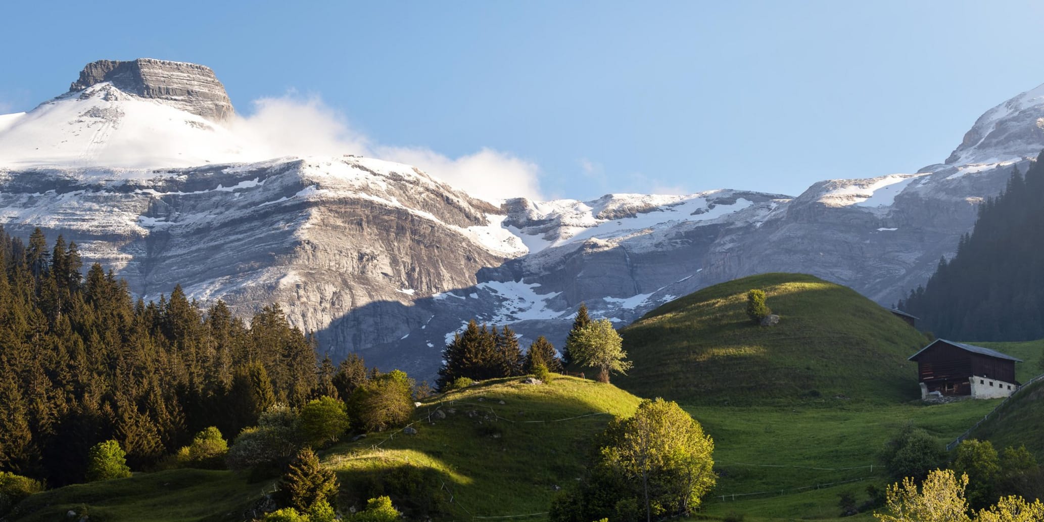 Grüne Hügellandschaft mit Schneebergen im Hintergrund, blauer Himmel