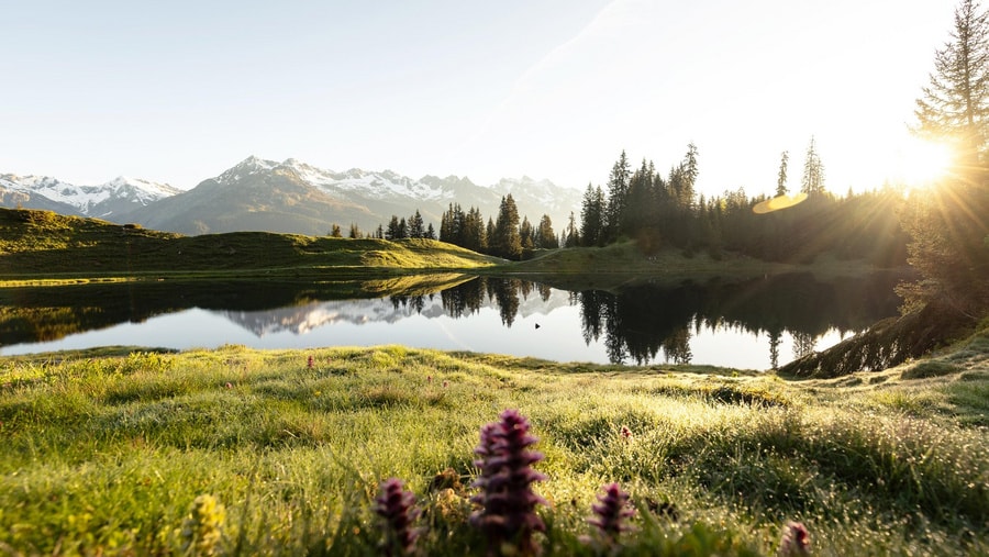 Geschichte: Sumvitg im Sommer