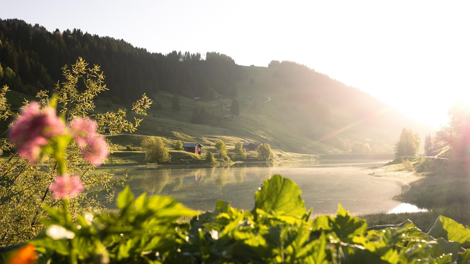 Breil/Brigels Bergsee im Sommer