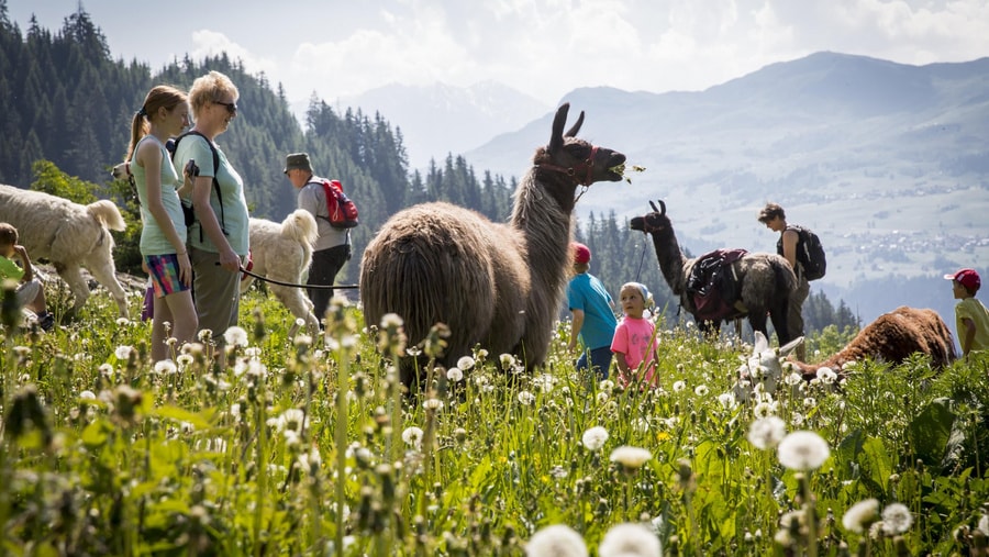Geschichte: Kinderprogramm “Plai a Mi”