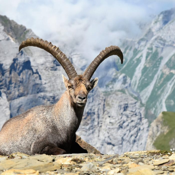 Portrait Lea Oechsin