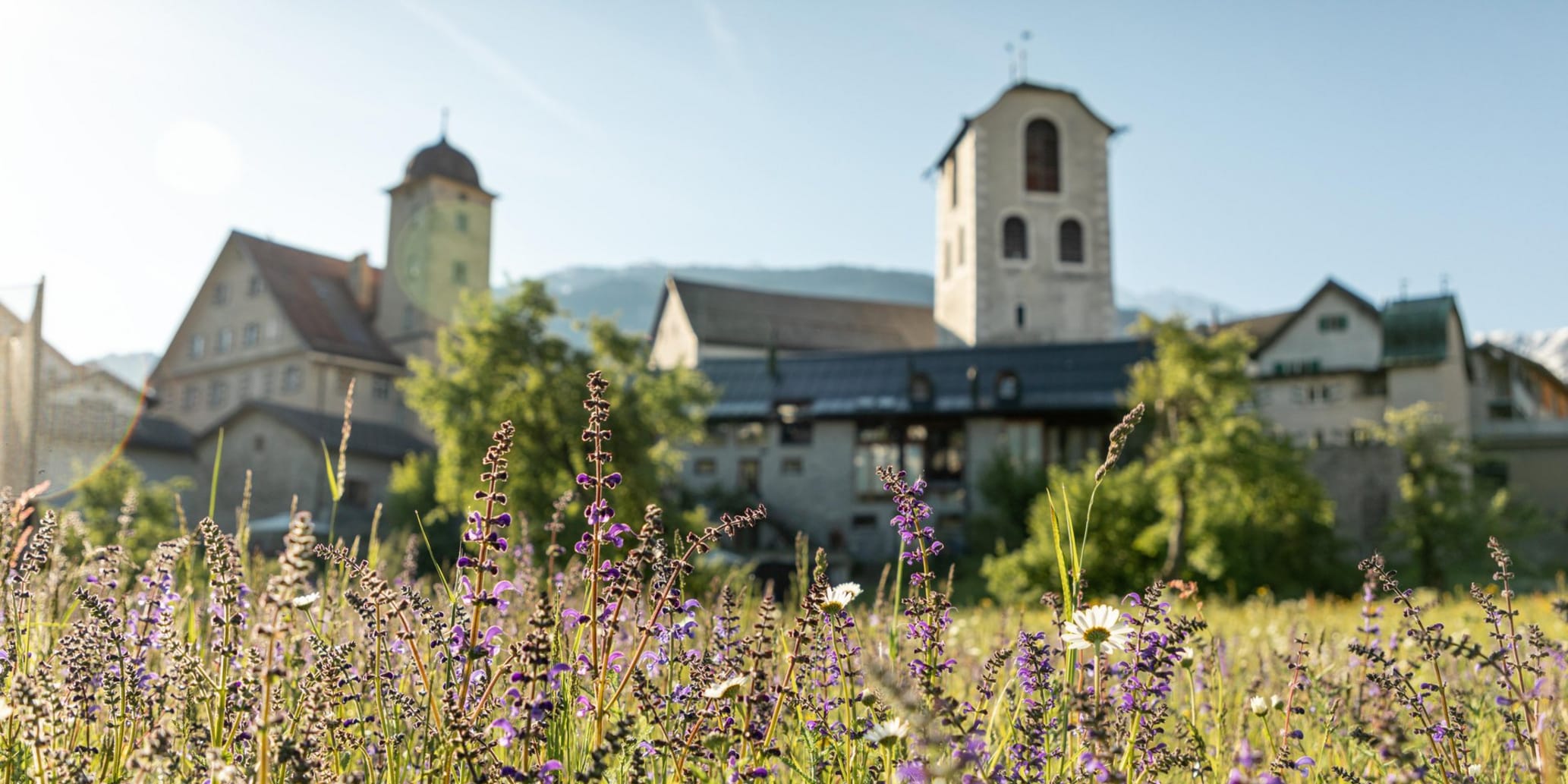 Dorfansicht hinter Blumenfeld im Sommer