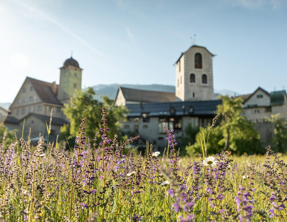 Dorfansicht hinter Blumenfeld im Sommer