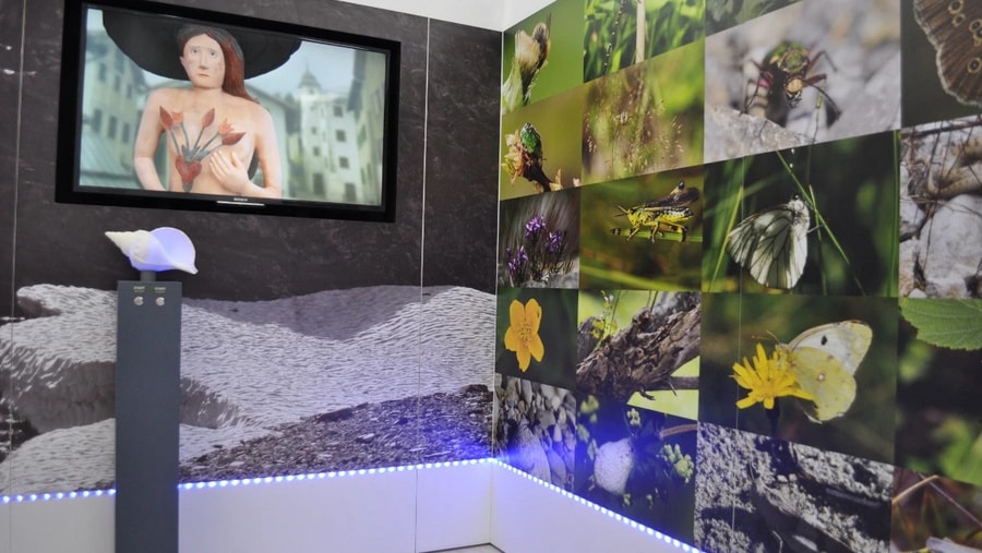 Geschichte: faszinaturRaum