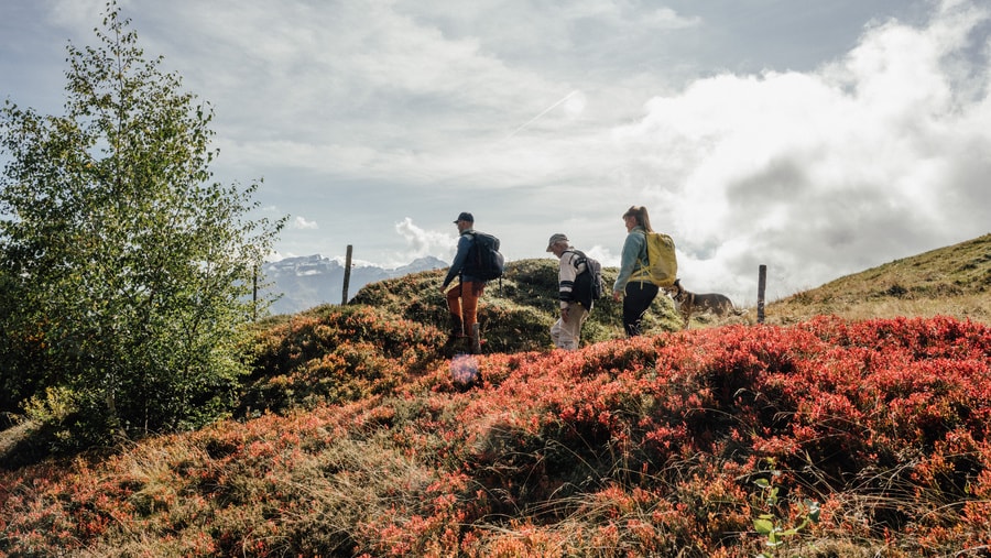 Geschichte: Wandertipps in Lumenzia