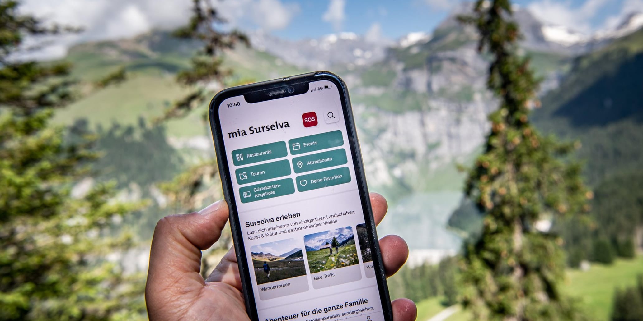 Hand hält Handy mit Surselva App im Hintergrund Tannen und Berge