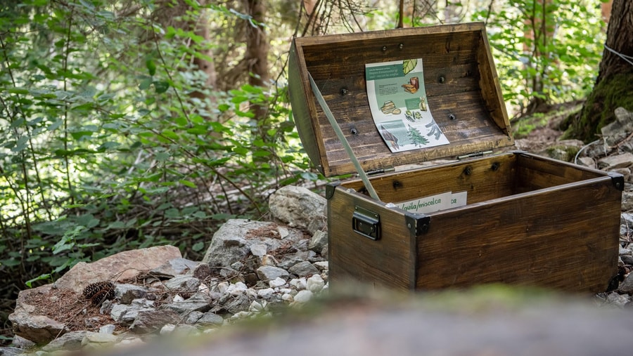 Geschichte: Madlainas Kirstallsuche – Apple Store