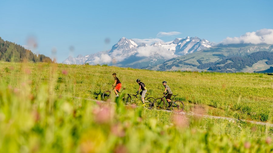 Geschichte: Luny on Tour