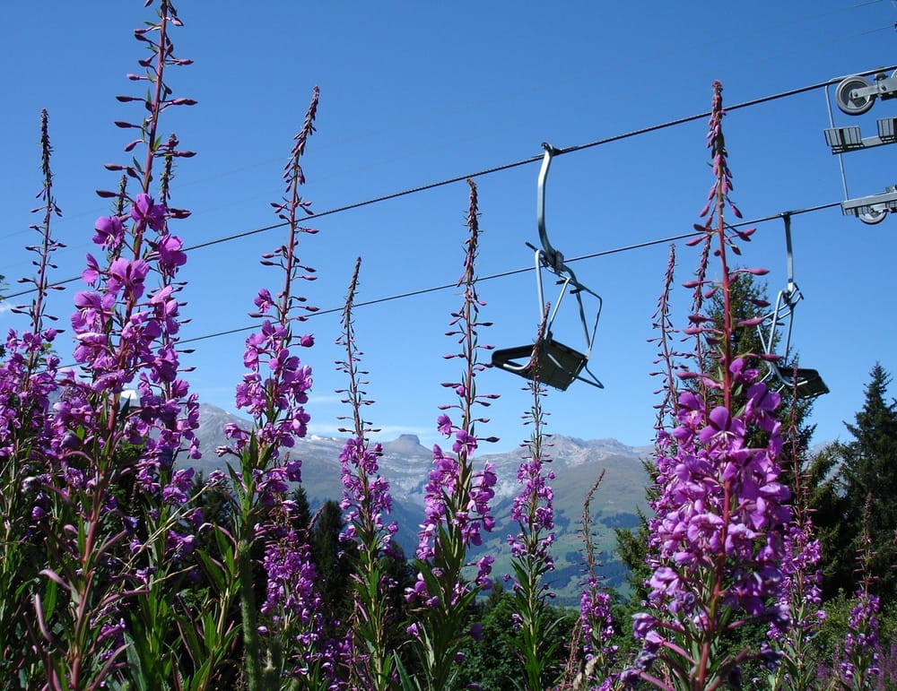 Sessellift der Bergbahnen Obersaxen Mundaun im Sommer