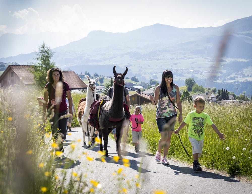 Tierische Erlebnisse in der Surselva