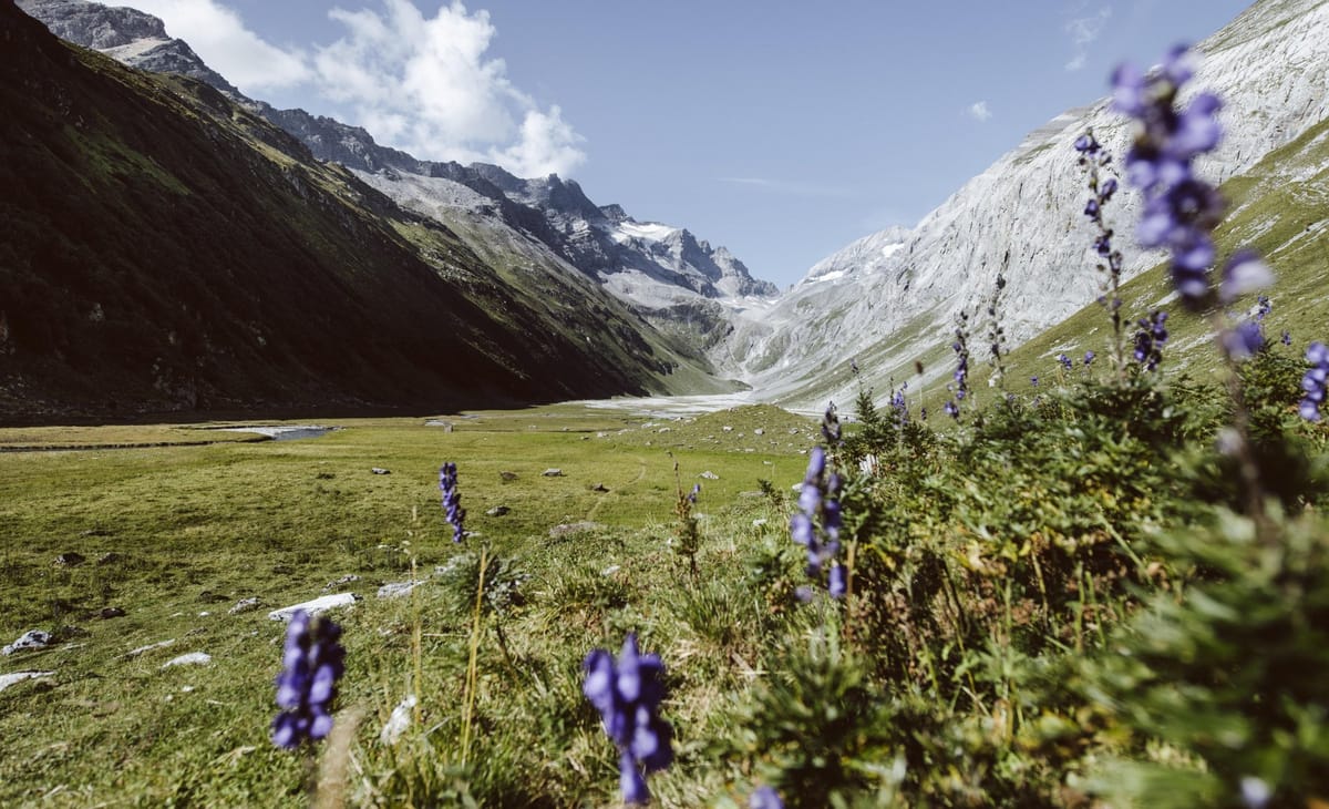 Frühling in der Surselva
