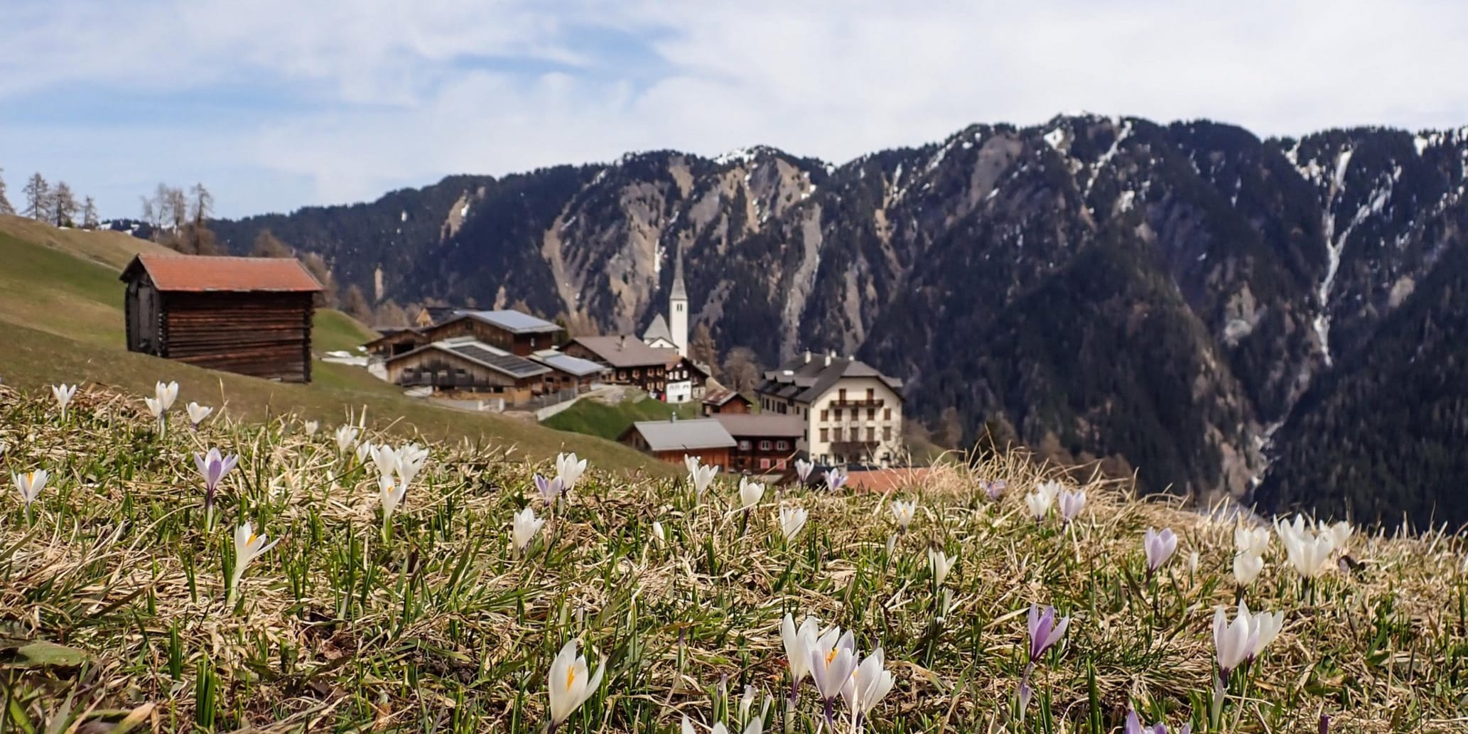 Bergfrühling in der Surselva