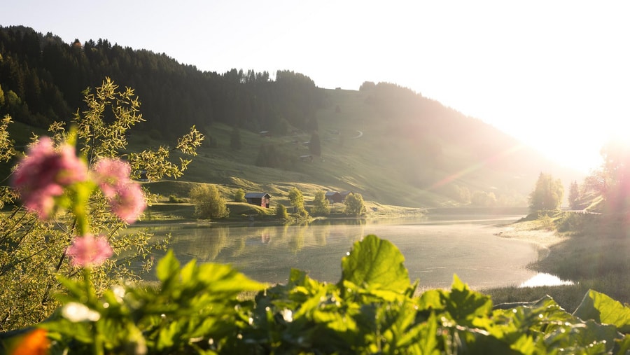 Geschichte: Breil/Brigels im Sommer