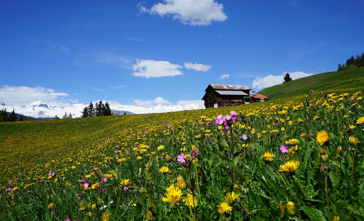 Frühling in der Surselva