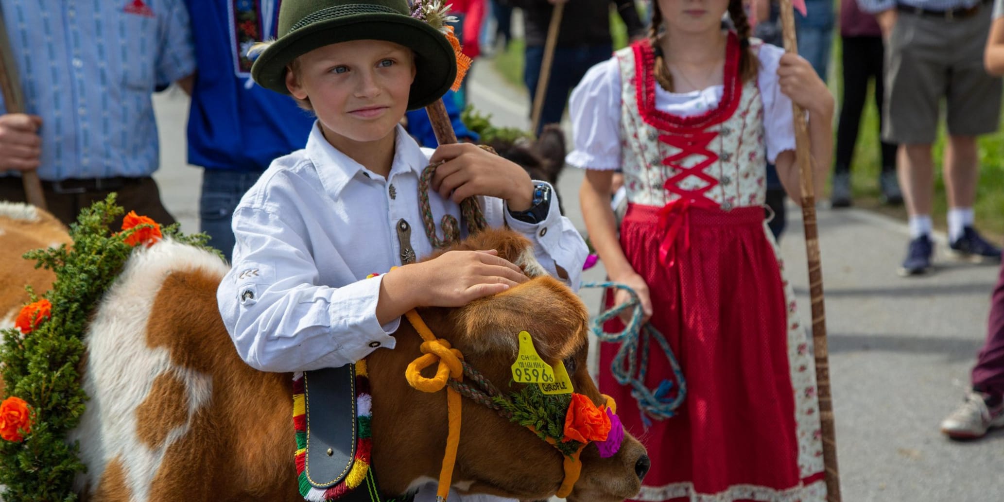 Alpabzug, Kinder in Tracht mit Kalb, welches geschmückt ist mit Blumen und Kranz