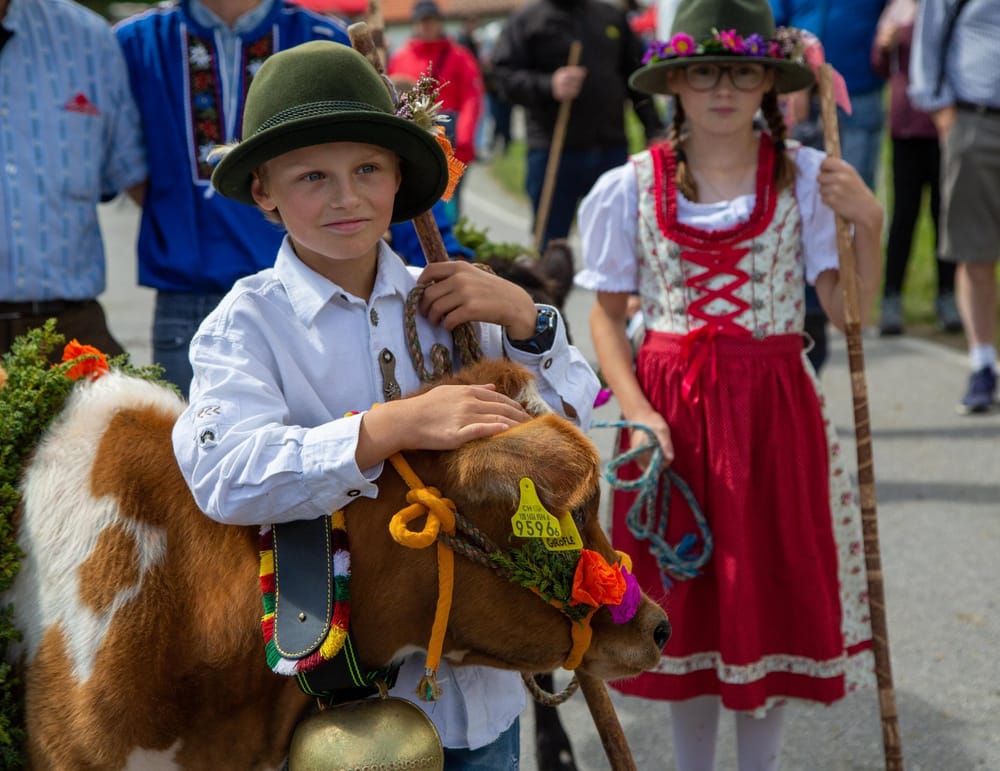 Alpabzug, Kinder in Tracht mit Kalb, welches geschmückt ist mit Blumen und Kranz