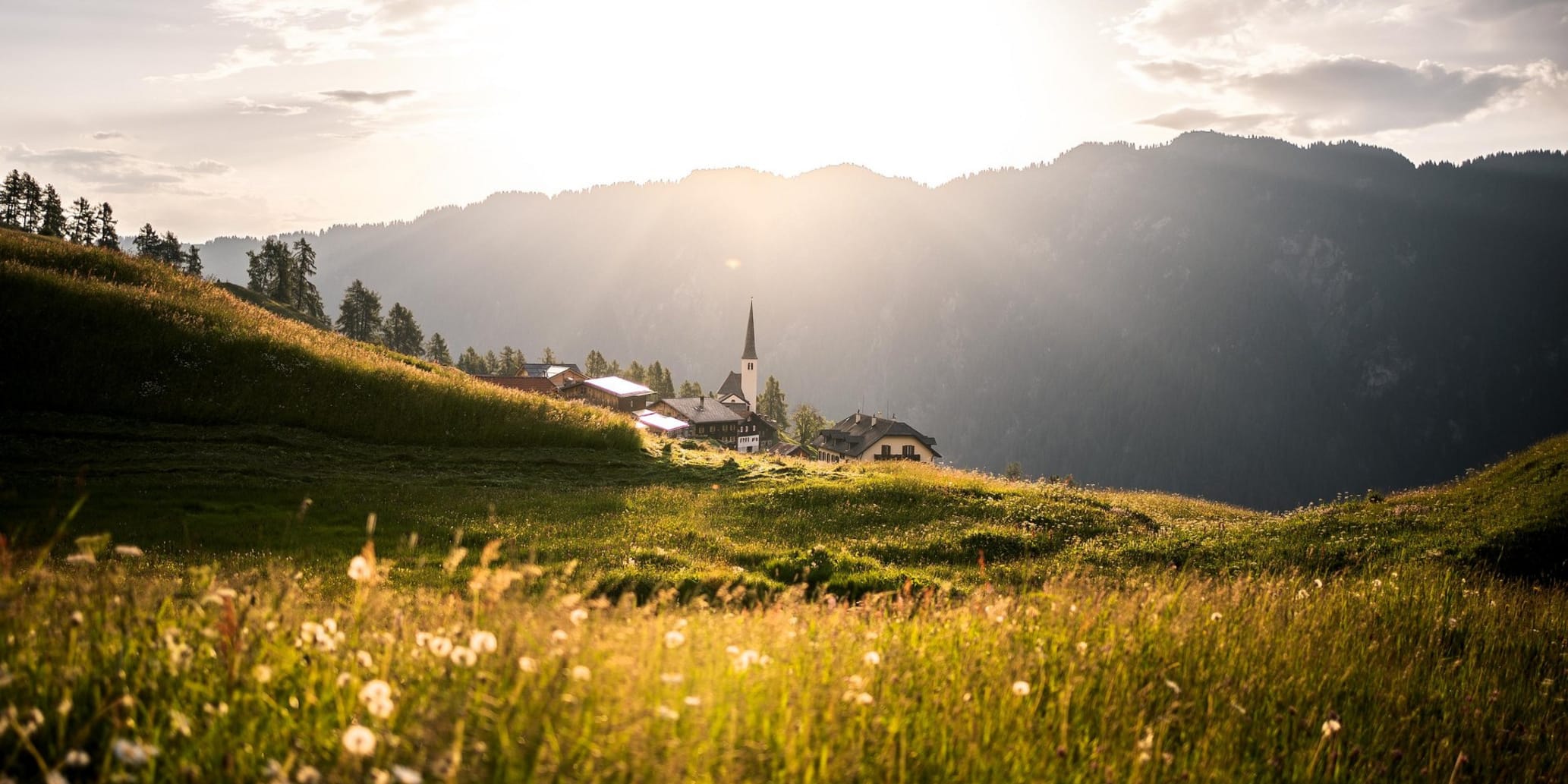 Blumenwiese Bergdorf im Hintergrund bei Sonnenaufgang