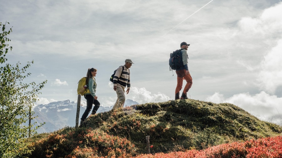 Geschichte: Wanderungen