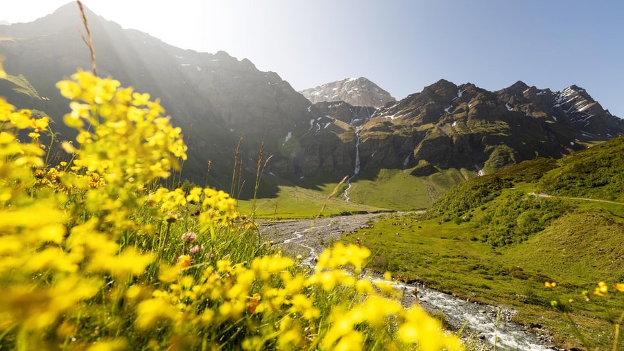 Geschichte: Safiental im Sommer