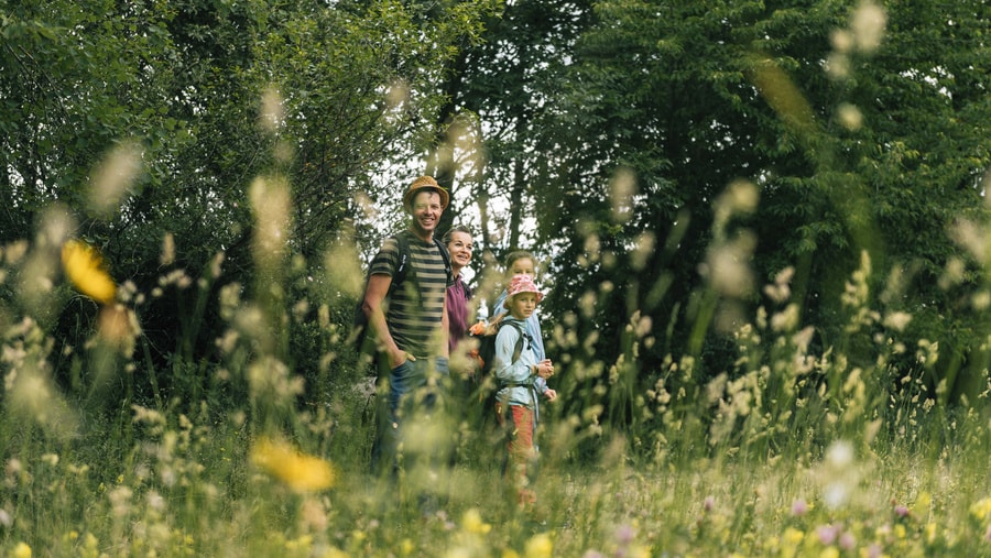 Geschichte: Wandertipps in Ilanz/Glion
